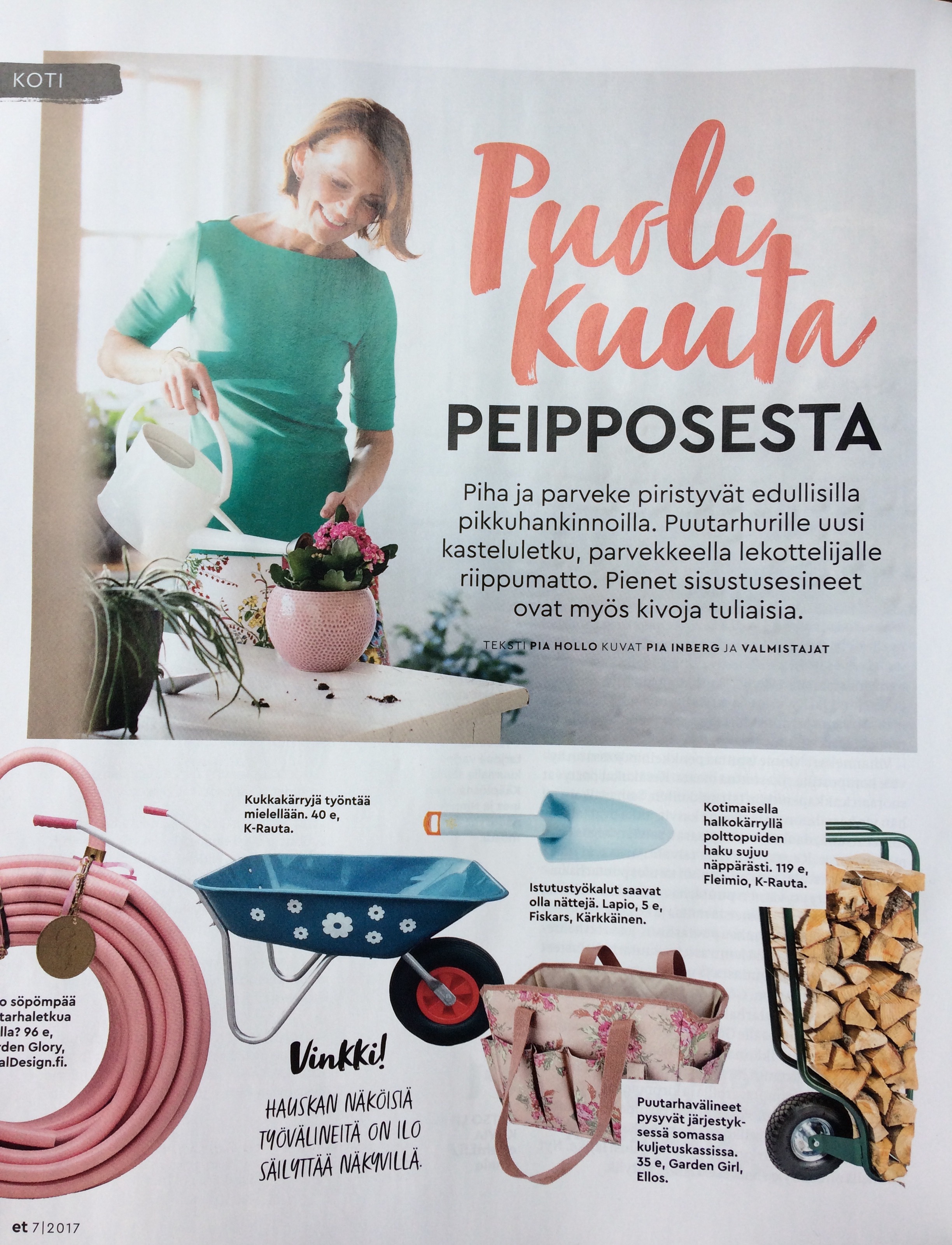 Fleimio Woodhopper on page 76 in ET magazine