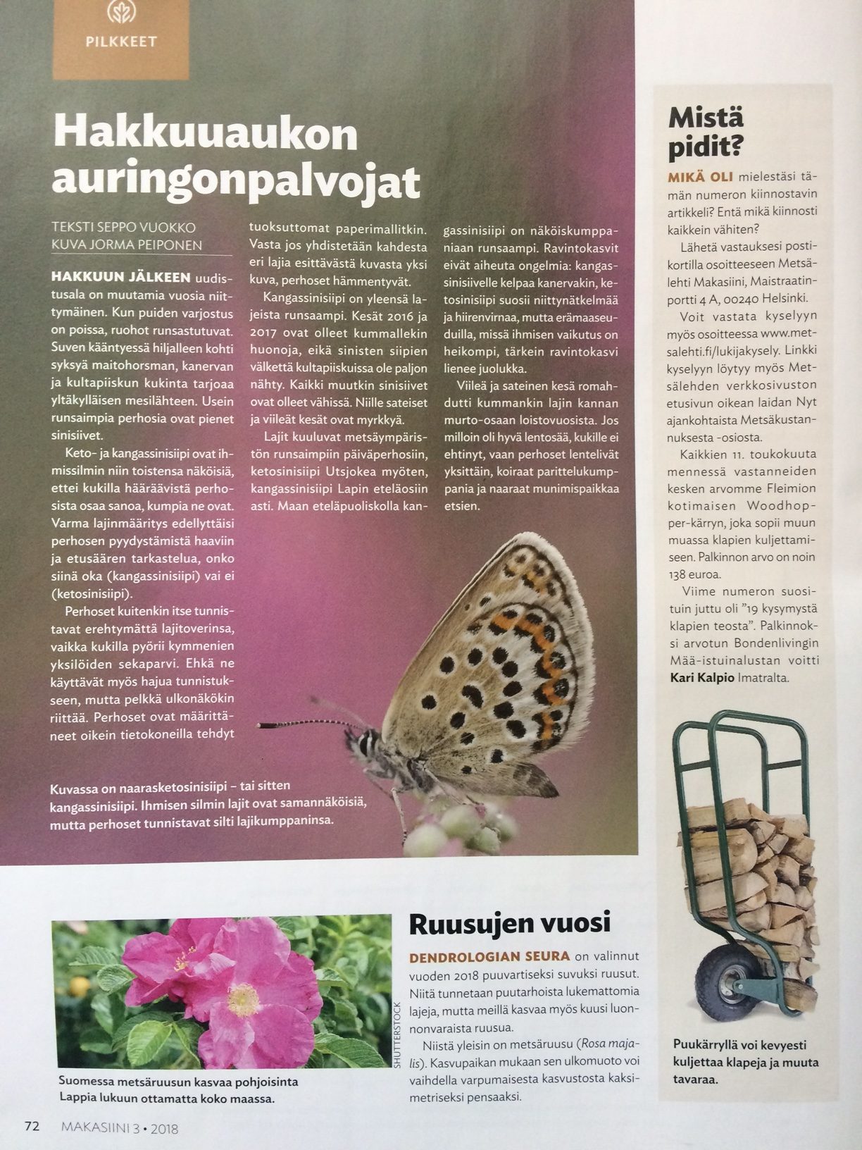 fleimio woodhopper in Metsälehti makasiini 042018